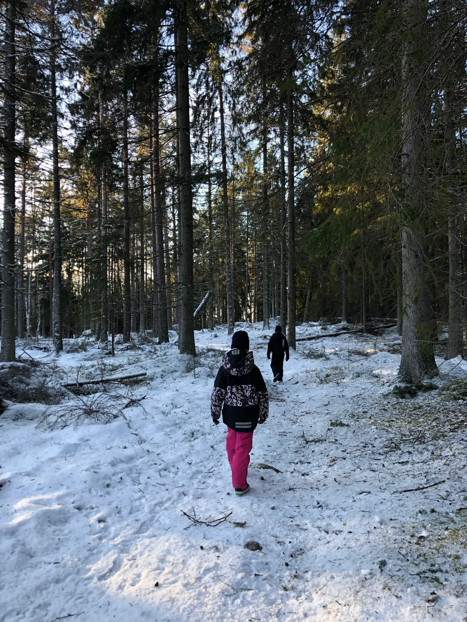 Förskolor Skölsta & Lindbacken (Uppsala): Guide & Tips 2025