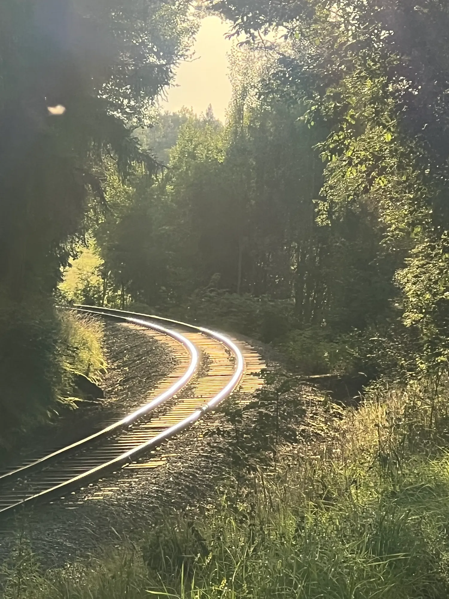 Skansen: Hjärtat i Uppsalas Nya Skölsta