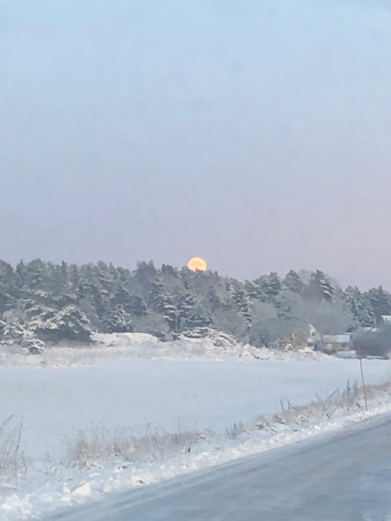 Flytta till Uppsala, Skölsta? Starta Din Beslutsresa Här