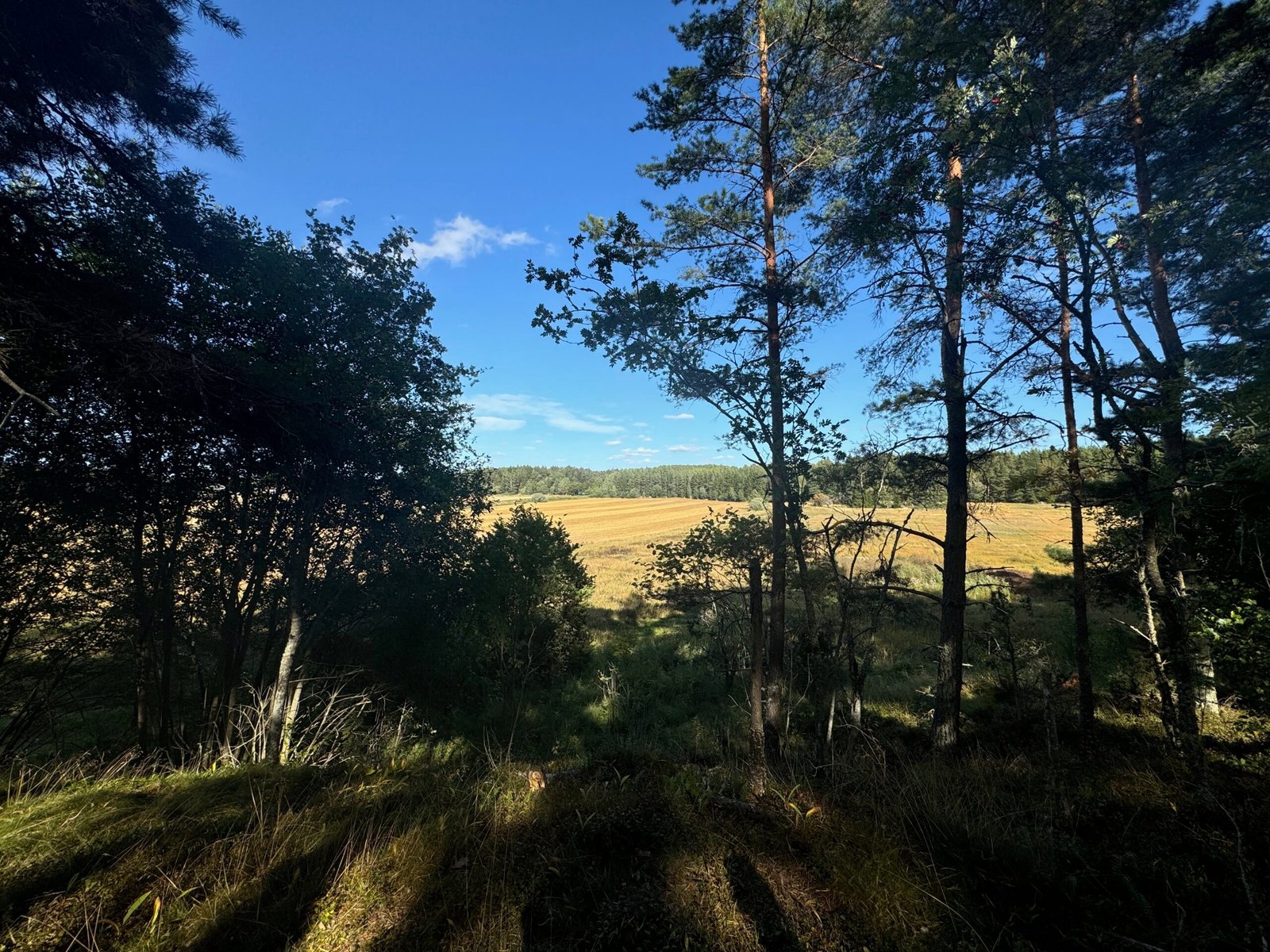 Vandra & Promenera i Skölsta: Upptäck Naturstigar för Alla